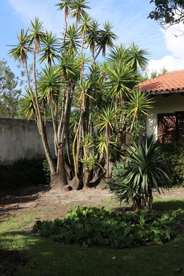 A Quinta Duna Salir de Porto Exterior photo